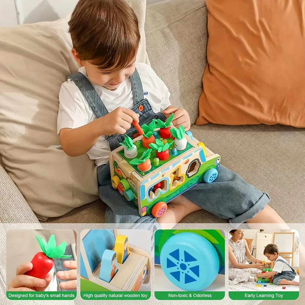 Carrot Harvest Sorting Toy