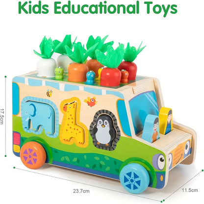 Carrot Harvest Sorting Toy